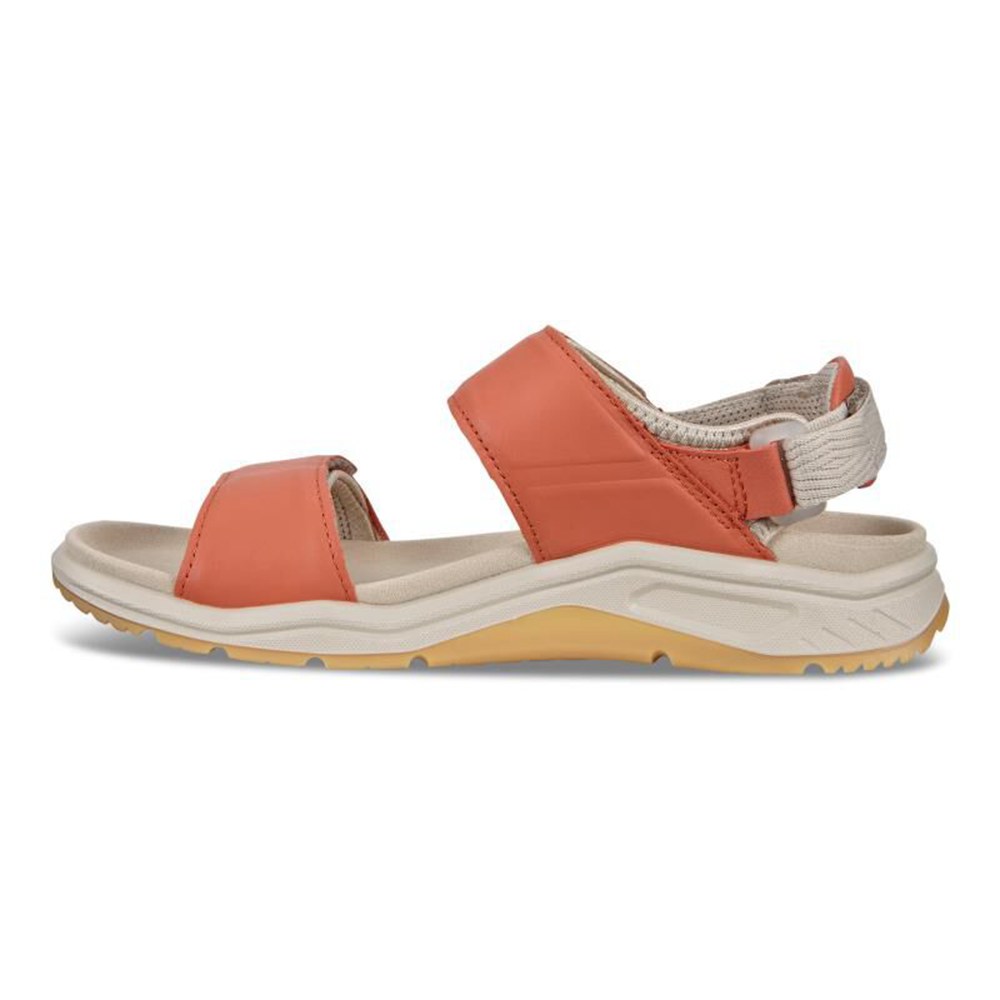 Womens Sandals - ECCO X-Trinsic Flat - Apricot - 2851RKLCO